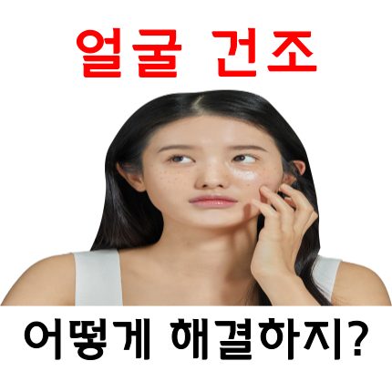 얼굴 건조 해결법 딱 3가지만 하면 됩니다