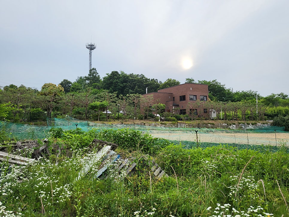 필하우징 사진 4