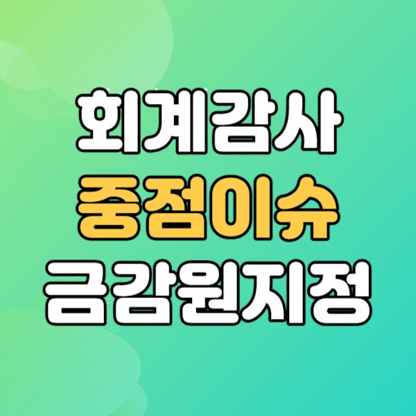  2024년 재무제표 중점심사 - 회계감사 이슈 사전예고