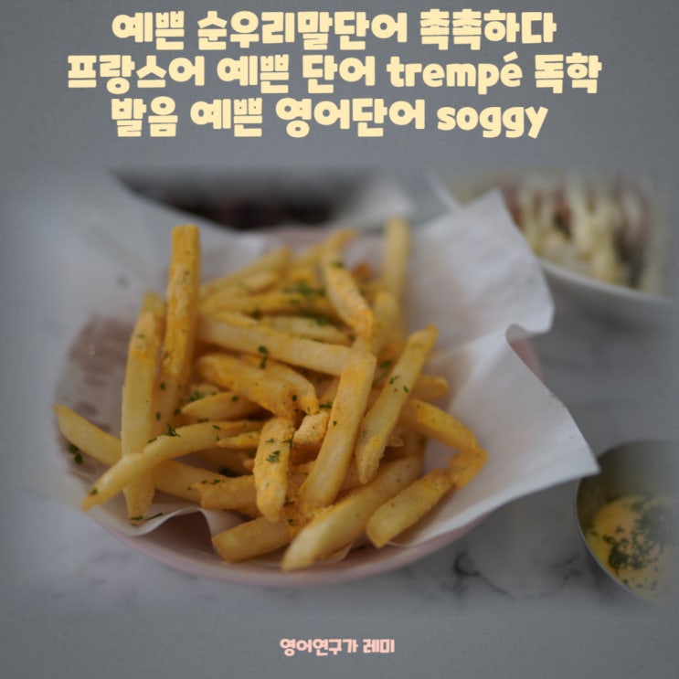 예쁜 순우리말단어 촉촉하다 프랑스어 예쁜 단어 trempé 독학 발음 예쁜 영어단어 soggy