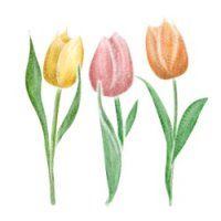  착한 사람(A good person)