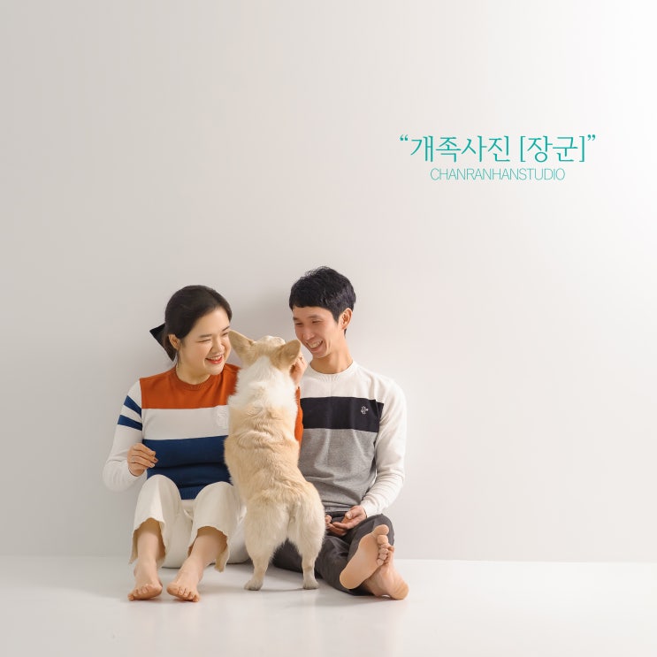  울산반려동물사진/울산강아지사진/울산개족사진