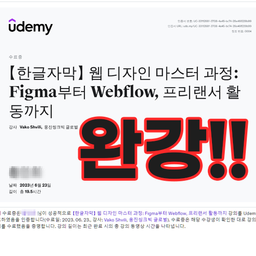 [Udemy] Figma부터 Webflow, 프리랜서 활동까지 -Vako Shvili 완강!