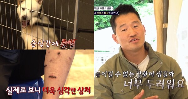  (개는 훌륭하다)"절대 사회 안 나갔으면..." 진도 개물림 사고 가해견 보배의 포식성 확인한 강형욱이 내린 처방은 납득 완료+반박불가다