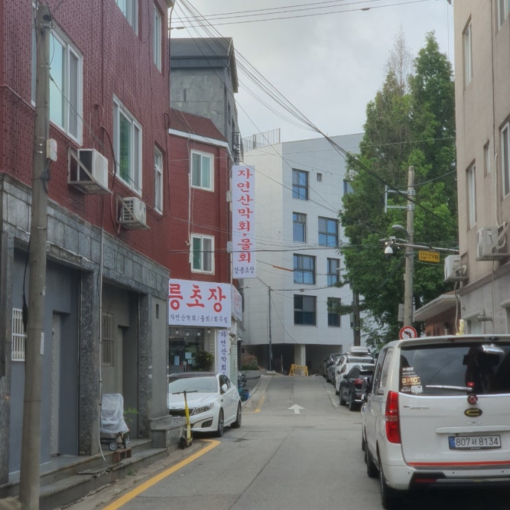 [수원맛집] 강릉초장