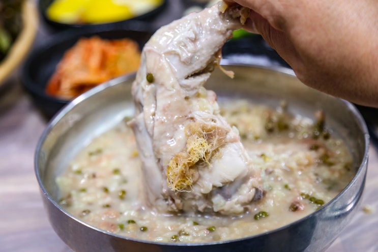 청송 닭백숙 야들야들했던 팔팔식당 청송 닭백숙 야들야들했던 팔팔식당
