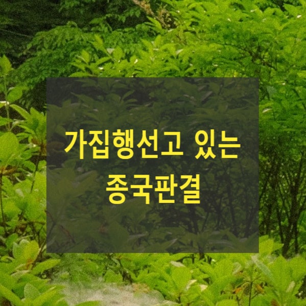  가집행선고 있는 종국판결(강제집행, 압류, 전부, 추심)
