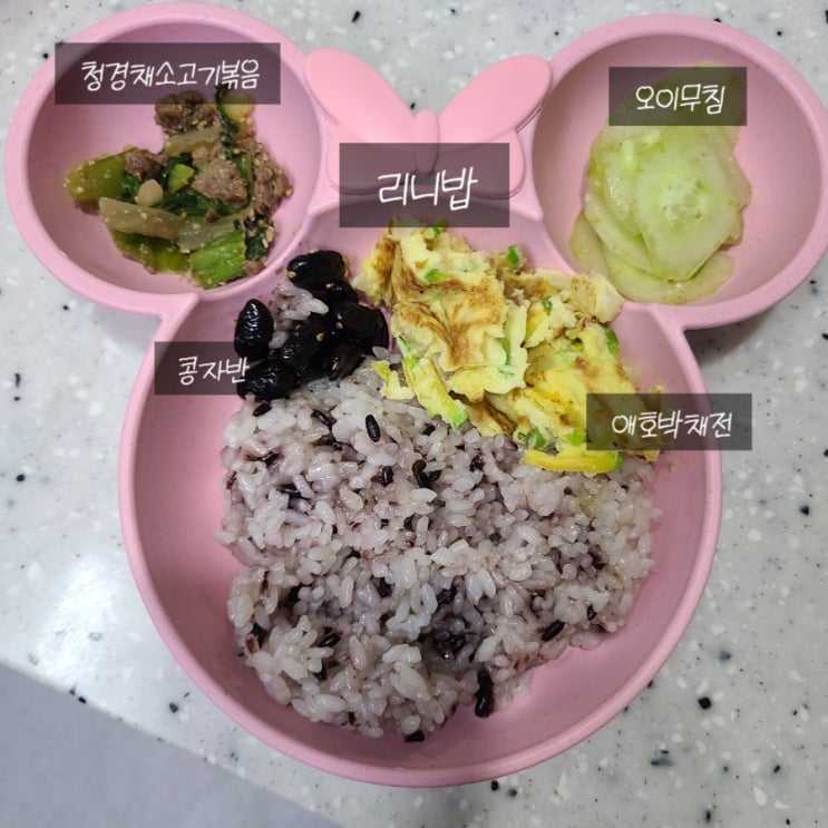  (6세, 2세 유아식) 청경채 소고기 볶음, 오이무침, 애호박 채전