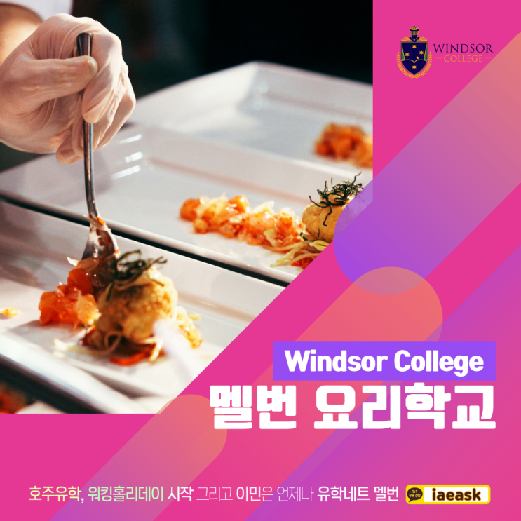  호주 멜버른 요리학교, 이 곳을 추천하는 이유 / 최저가 패키지 학비 보장 (Windsor College, iae 유학이민)