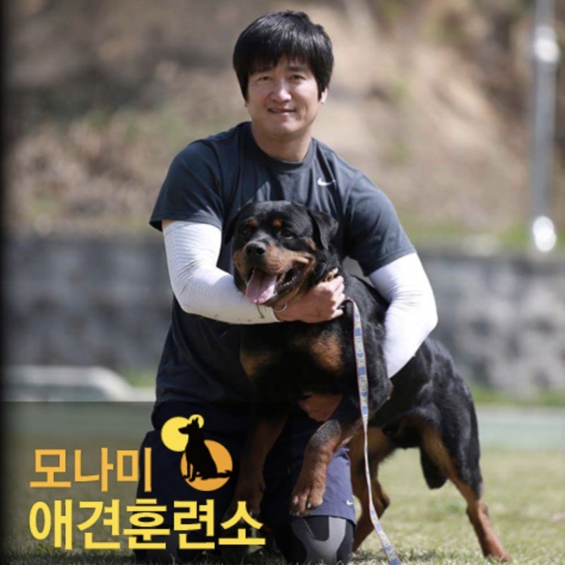 사진 2