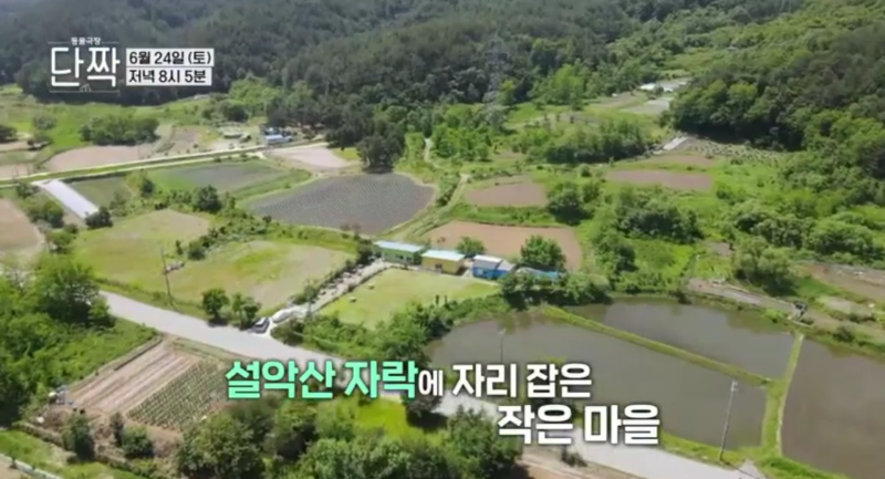 사진 3