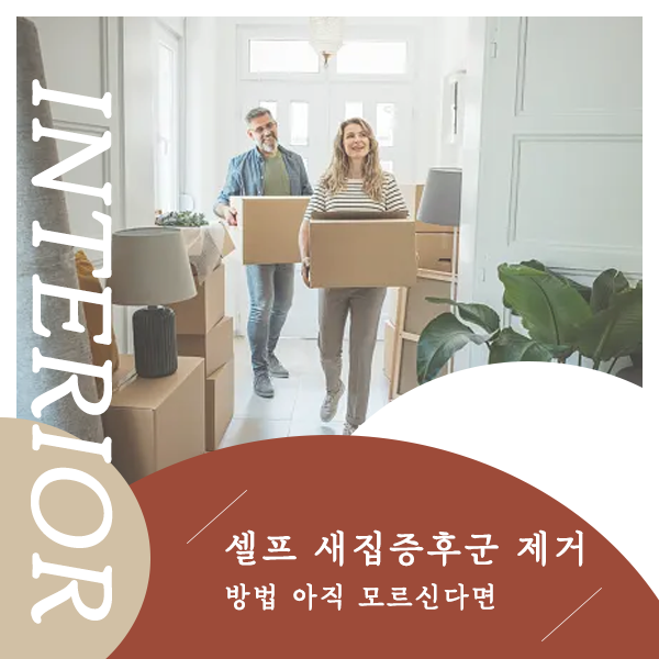 셀프 새집증후군 제거방법 아직 모르신다면