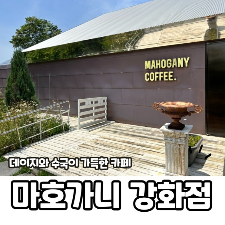  [인천/강화도] 마호가니 강화점: 예쁜 정원에서 사진 찍기 위해 이곳에 왔다. 인천 강화도 내돈내산 카페 추천.