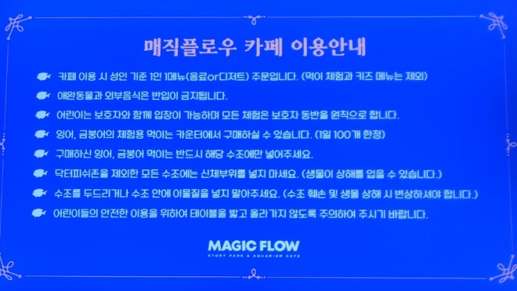 5개월 아기랑 미니 수족관 카페 방문기(ft.매직플로우 카페)