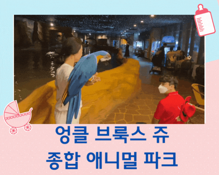  엉클 브룩스 쥬 평택 아이와 가볼만한곳 실내 동물원 5시간을 놀았네요~