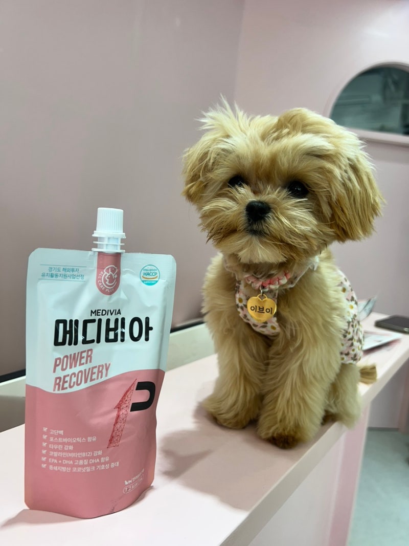 반려동물회복영양식 메디비아 파워 리커버리