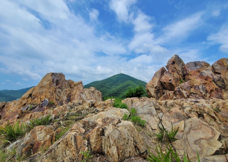  인천 여행 계양산 등산코스 인천 가볼만한곳 계양산성 힐링코스 주차장 산행난이도