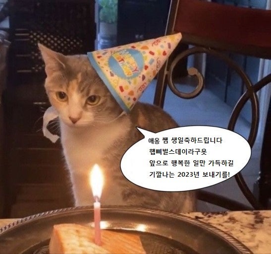  230109~15 먹고 살기