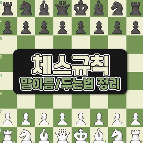 체스 규칙 두는법 말이름 총정리