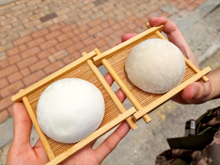  부산 해운대 간식] 젤라또 + 찹쌀떡 디저트 맛집 '호랑이젤라떡' 재방문 후기