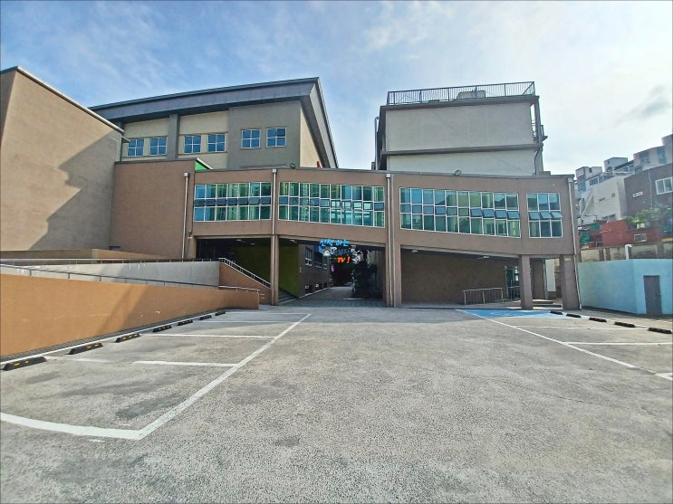 부산중학교 지나가기 친환경스카이웨이 새끼고양이 부산중학교 지나가기 친환경스카이웨이 새끼고양이