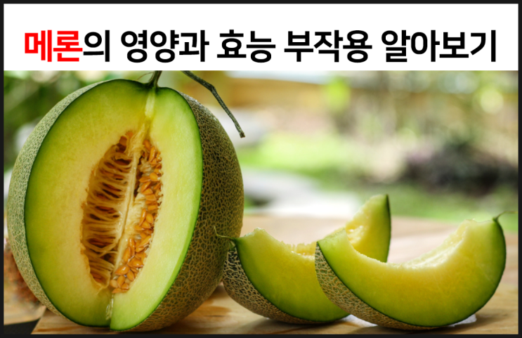  메론? 멜론! 영양과 효능 부작용을 알아보자