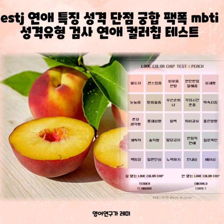 estj 연애 특징 성격 단점 궁합 팩폭 mbti 성격유형 검사 연애 컬러칩 테스트