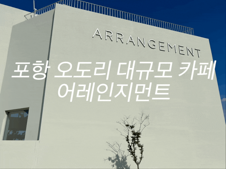  포항 오션뷰 대규모 카페 어레인지먼트 (arrangement)