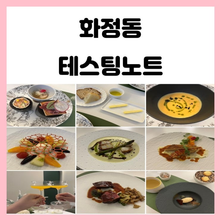 광주 파인다이닝 코스로 유명한 화정동 테스팅노트 광주 파인다이닝 코스로 유명한 화정동 테스팅노트