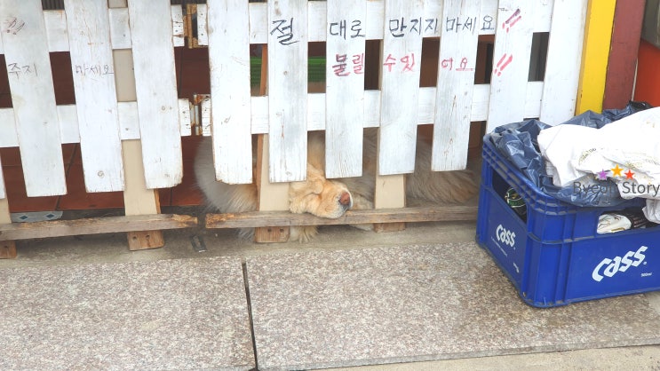  하루죙일 나가있던 일상