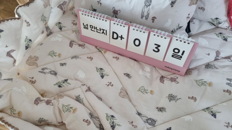  [리뷰] 신생아 디데이 달력 "말랑하니 디데이달력 5칸" 구매 및 사용기!
