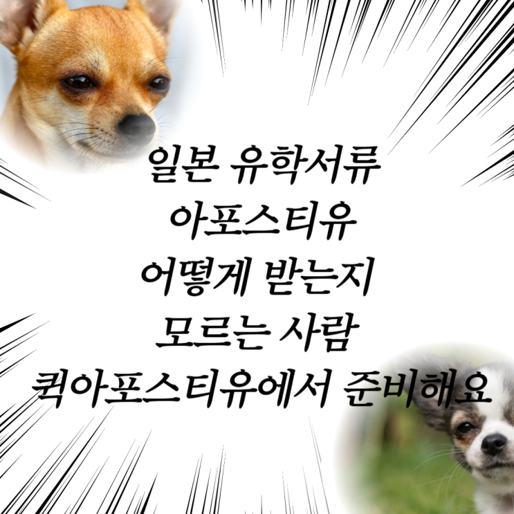  일본 유학서류 , 취업이나 유학 준비하는 사람은 필독 !