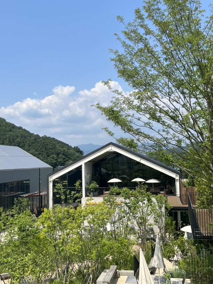  경기도 광주 광주 놀러가기! 라타케리아 타코와 이영자님이 추천한 어로프슬라이스피스 카페,, 그리고 세븐시즌스까지