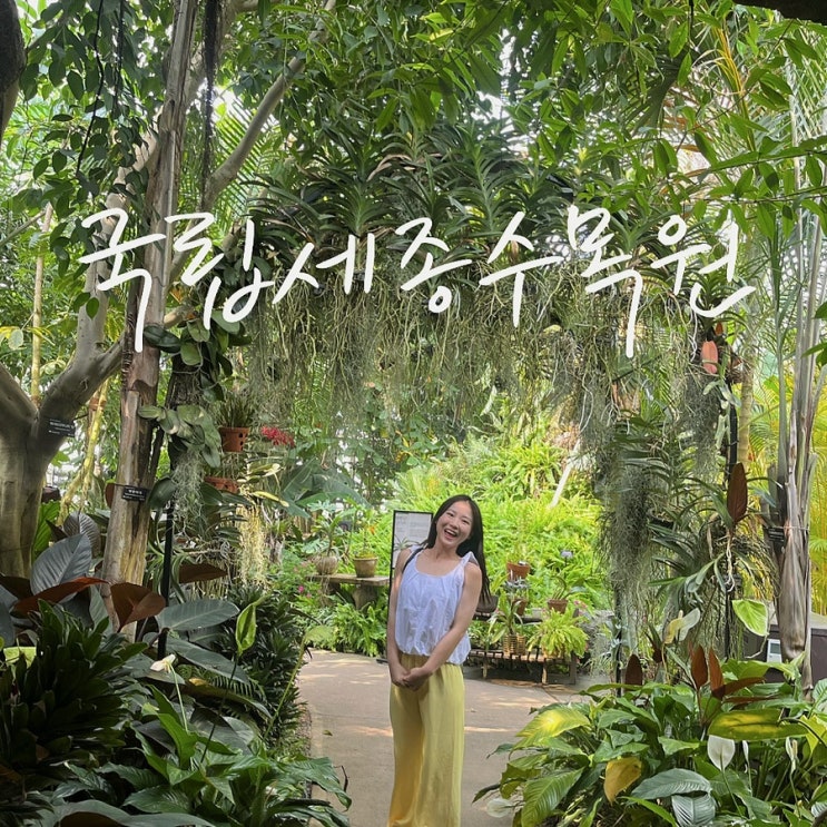  [세종] 국립세종수목원, 엄마랑 데이트 ; 뜨겁고 짧은 리프레쉬
