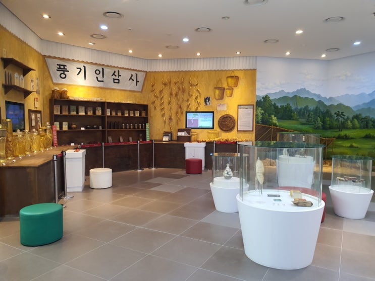  영주 아이와 가볼만한 곳 추천 - 인삼박물관 (feat. 인삼박물관 근처 맛집추천)