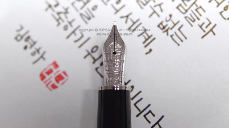  독서의 이유 (몽블랑 토마스만 M닙 만년필로 필사하기)