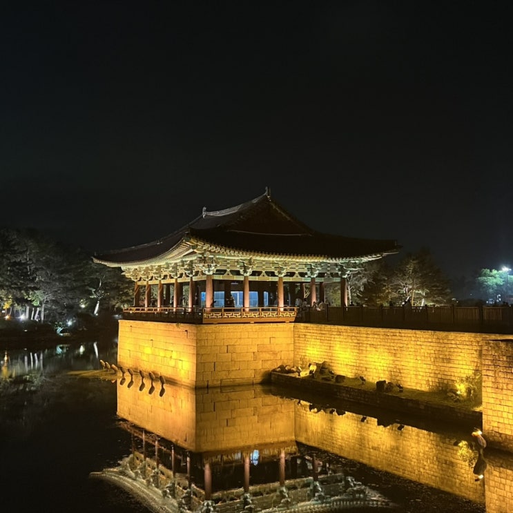  [경주 여행코스] 1일차ㅣ반하다경북 황리단길 맛집 카페 추천 경주 놀거리 가볼만한곳