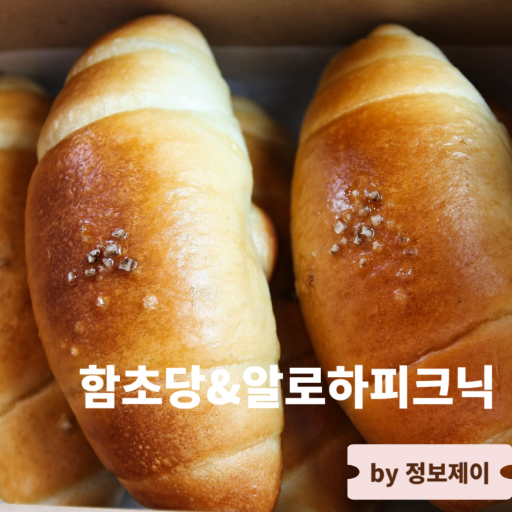  대부도 베이커리 카페 대부도 함초당&알로하피크닉