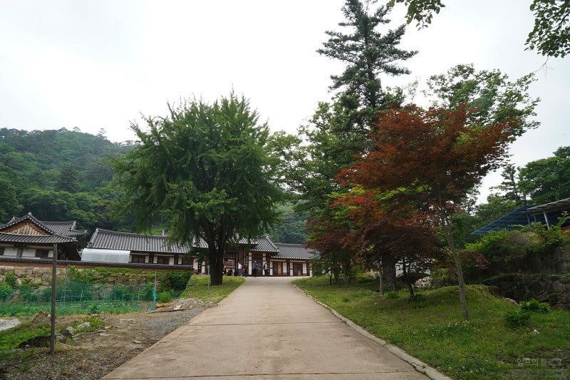 문경 국보와 보물 가득한 고찰 사불산 대승사 : 네이버 블로그