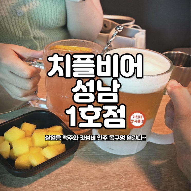  가천대,동서울대 가성비 술안주 맛집 '치플비어 By 치킨플러스 성남1호점'
