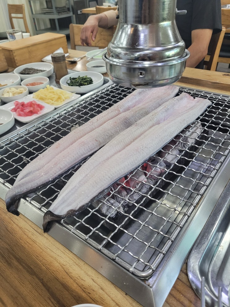 속초 장어구이 맛집  현지인 추천 '영랑동 민물장어' 여름 보양식 원기회복 효능