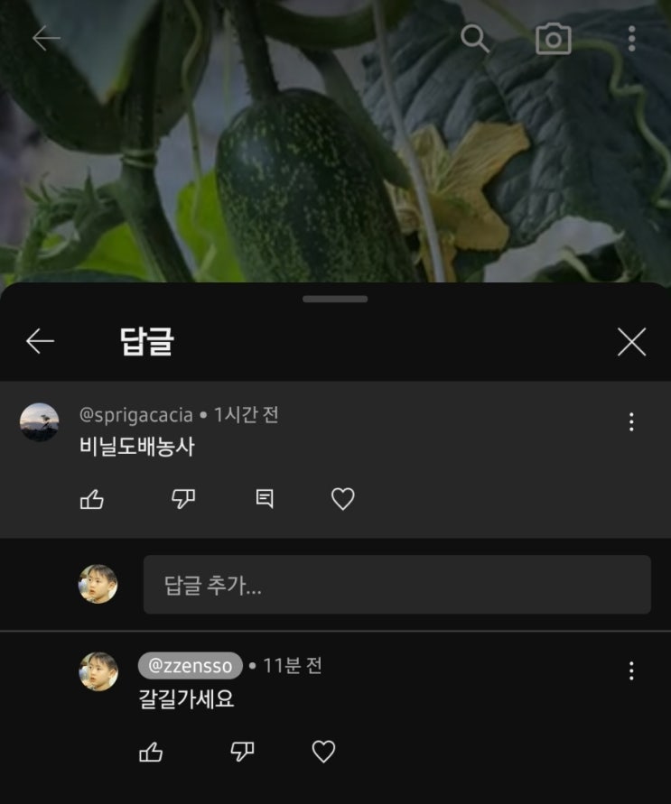  의도가 뻔히 보이는 댓글 왜 다는걸까?