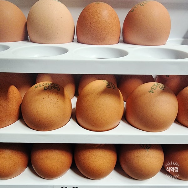계란 한 개 칼로리 및 단백질 함량 알아보자