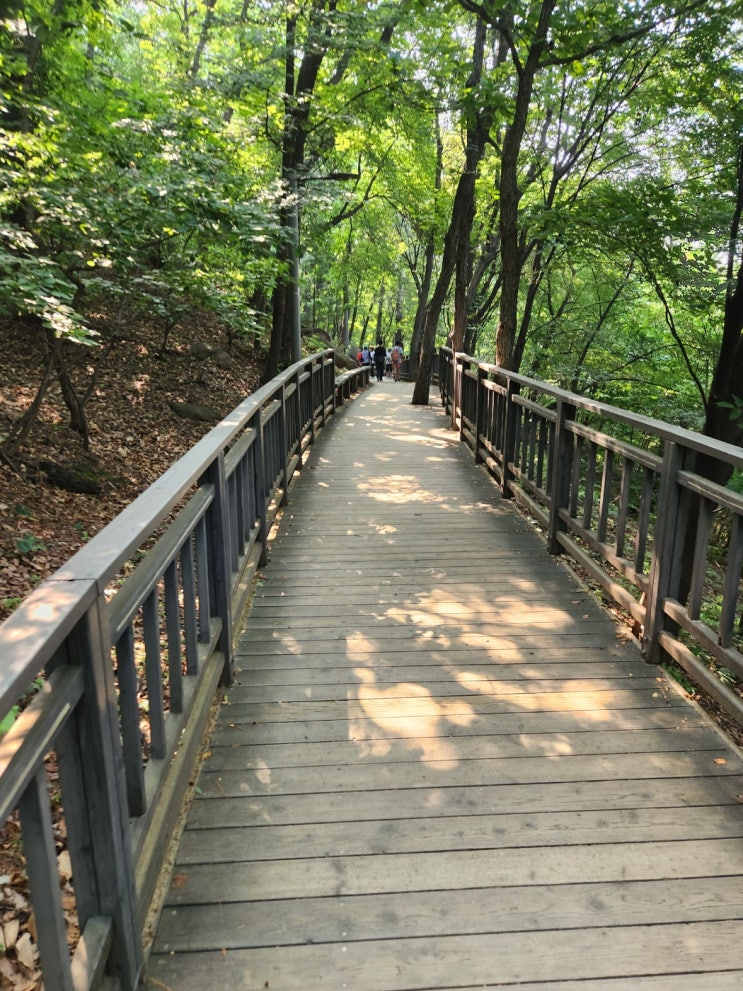  [동작충효길 1코스] 고구동산길(노들역~현충원 상도출입문) 완주 후기