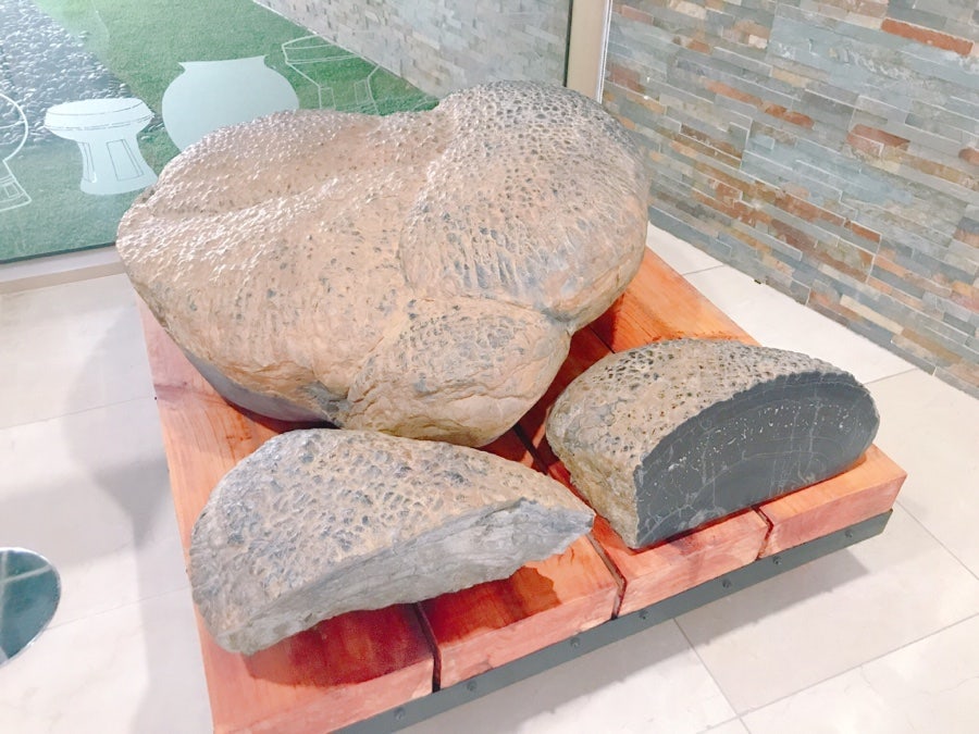 삼삼이 사진 7