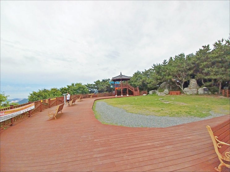 여름산행 구봉산 봉수대 가는길 지렁이뱀 사진 여름산행 구봉산 봉수대 가는길 지렁이뱀 사진