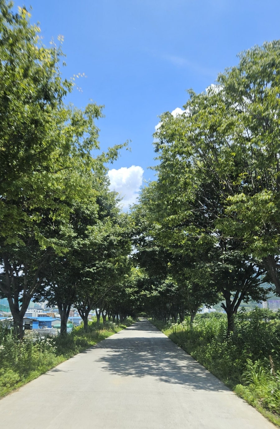 마시그래이 옥포점 사진 1