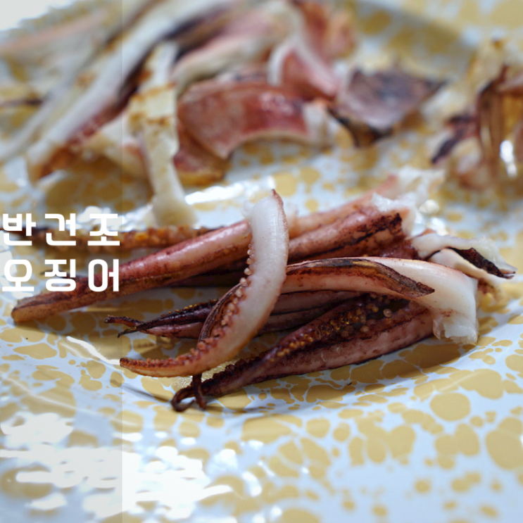  반건조오징어 보관법 요리 칼로리 굽기 소스