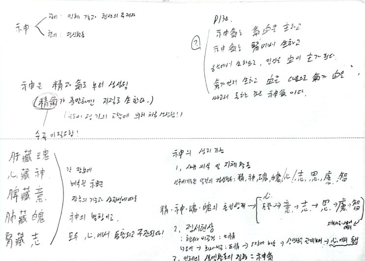  神의 생리