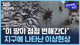 "이 땅이 점점 변해간다"…지구에 나타난 이상현상